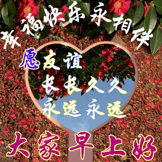 圣诞夜简短发朋友圈的句子,圣诞节发朋友圈的早安说说