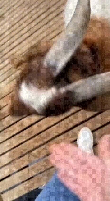 5,福利就是高清*码无**