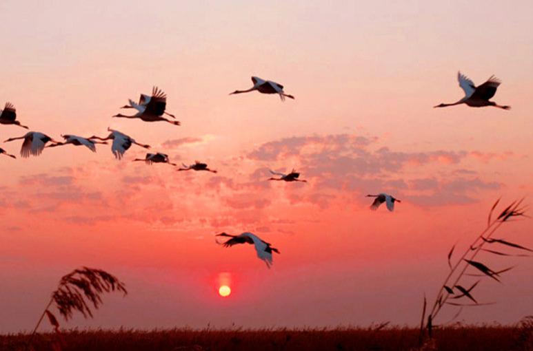有诗意的江南烟雨诗句,关于烟雨的古诗词名句