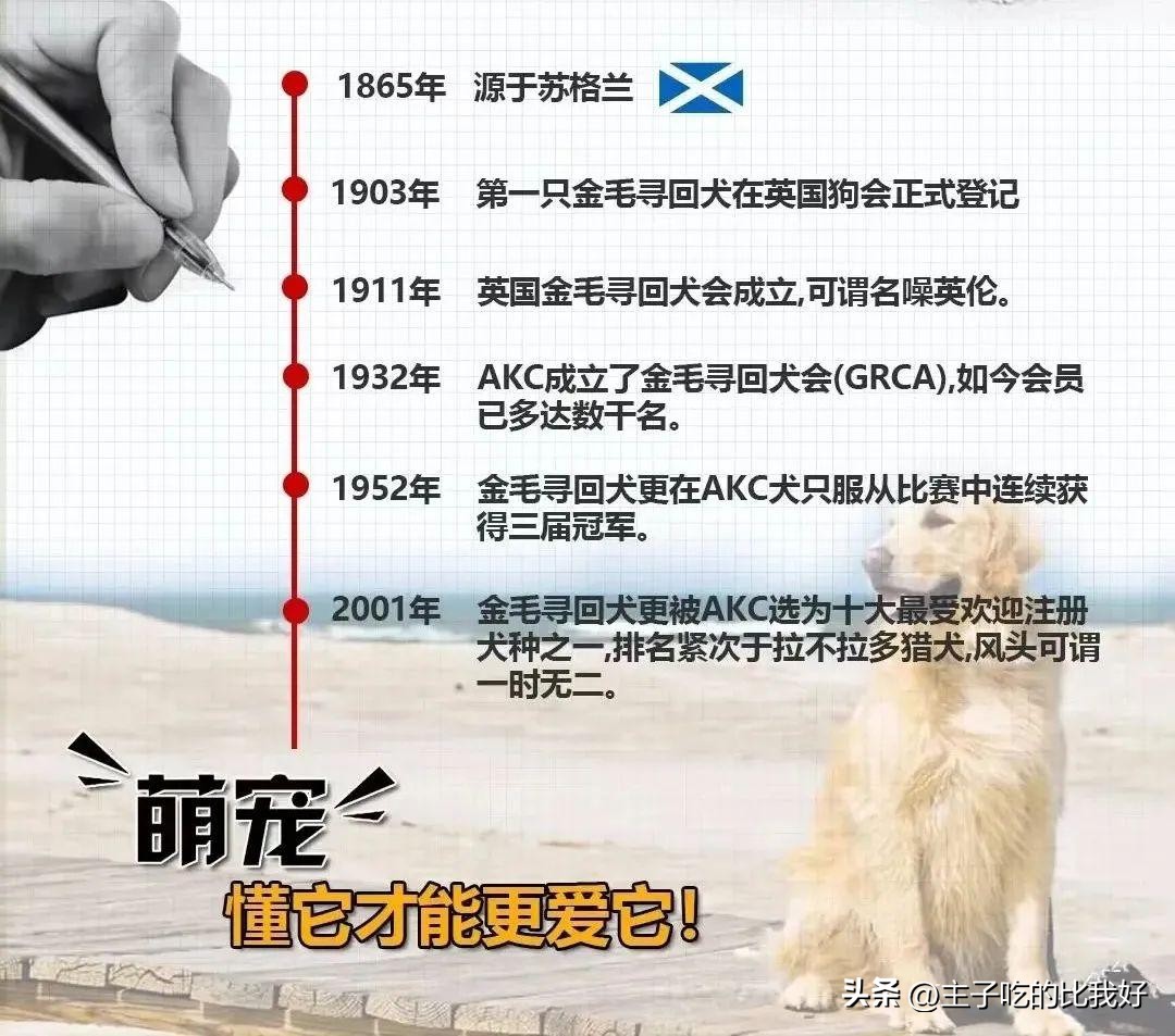 养宠知识问与答,宠兽小知识100条