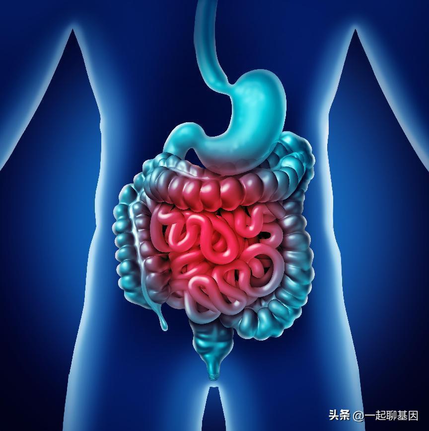 如何在公共场合防止放屁,如何在公众场合阻止放屁