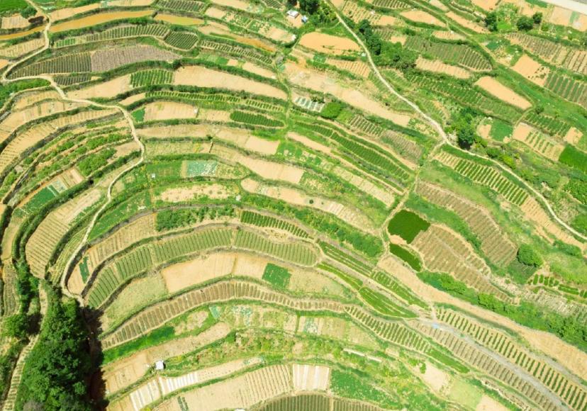 夏季气温不高的城市,夏季不热的旅游城市