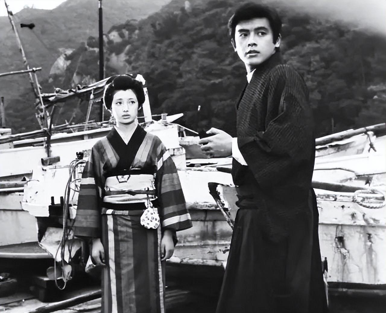 日本伊豆七彩神仙鱼,伊豆在日本哪个县