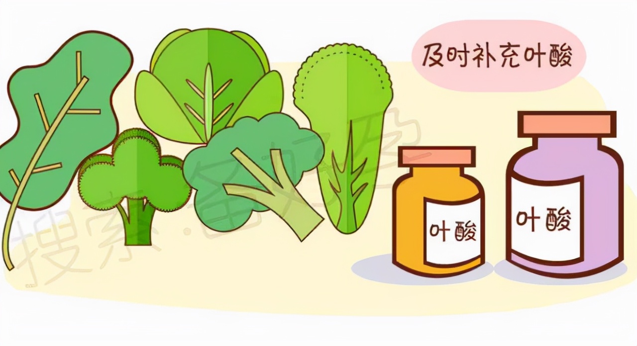 发现怀孕有一个多月才开始吃叶酸,为什么我整个孕期都要吃叶酸