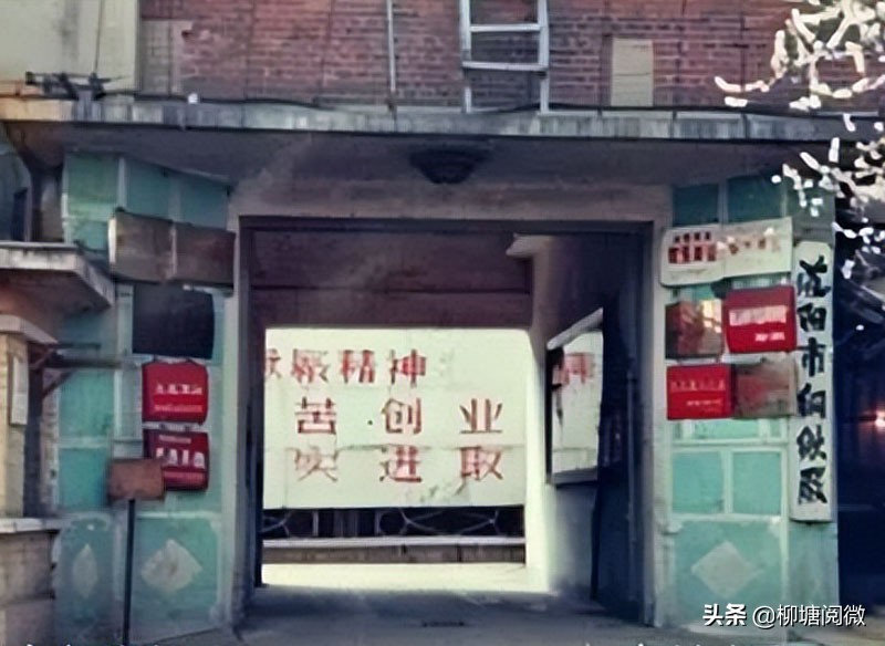 閾侀敼鎶婄嫍澶存媿鍑鸿,82骞村ぇ璞＄墝閽㈤敼