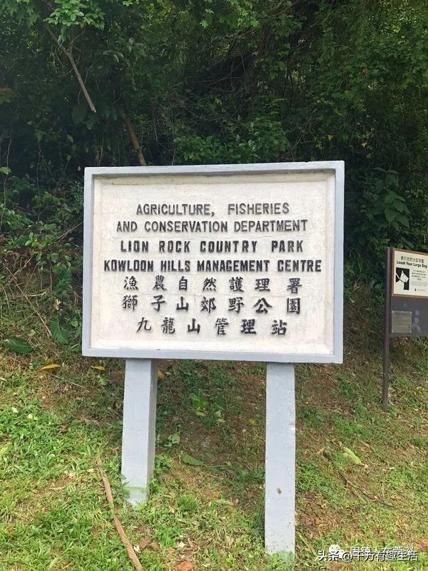 香港徒步麦理浩径全程攻略介绍,香港狮子山徒步攻略