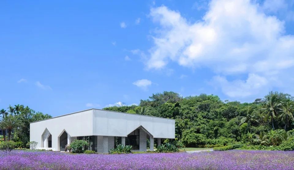 乡村振兴示范村典型案例规划设计,偏远山区乡村振兴示范村典型案例