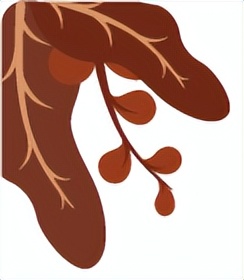 香港保诚保险内地查保单,香港保诚保险保单号从哪里看