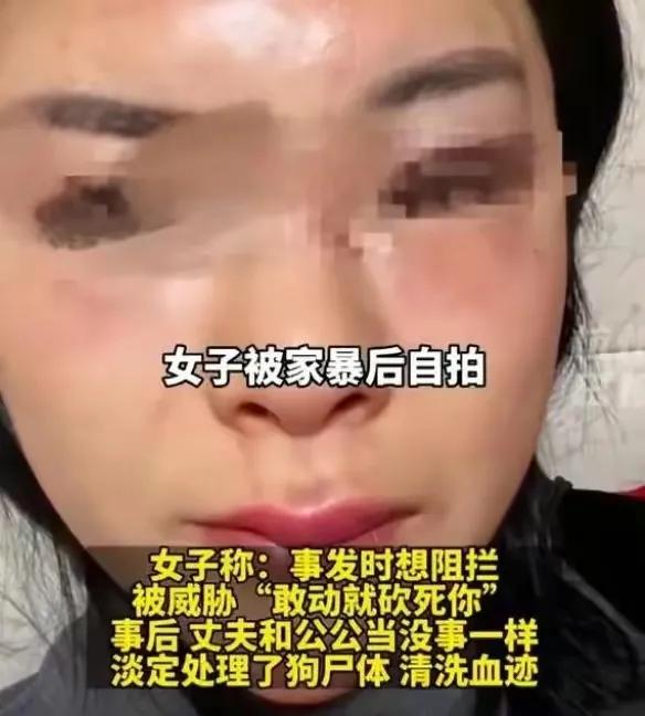 家暴男当妻子的面砍死自家宠物狗,宠物狗被家暴男砍死后续