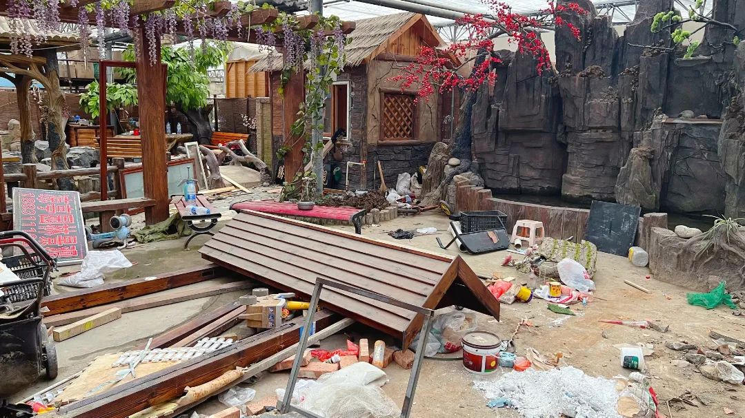 石家庄哪个花卉市场要拆,石家庄最好的花卉市场搬哪里去了