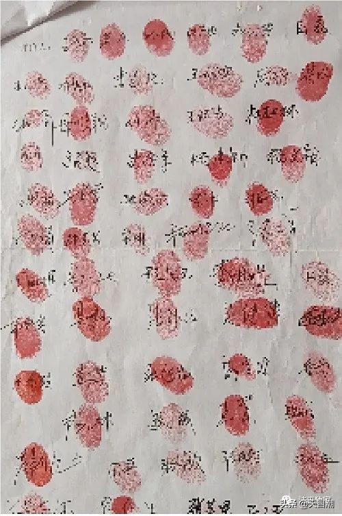 黄金冶炼厂任文生,原中原冶炼厂任文生案件结果