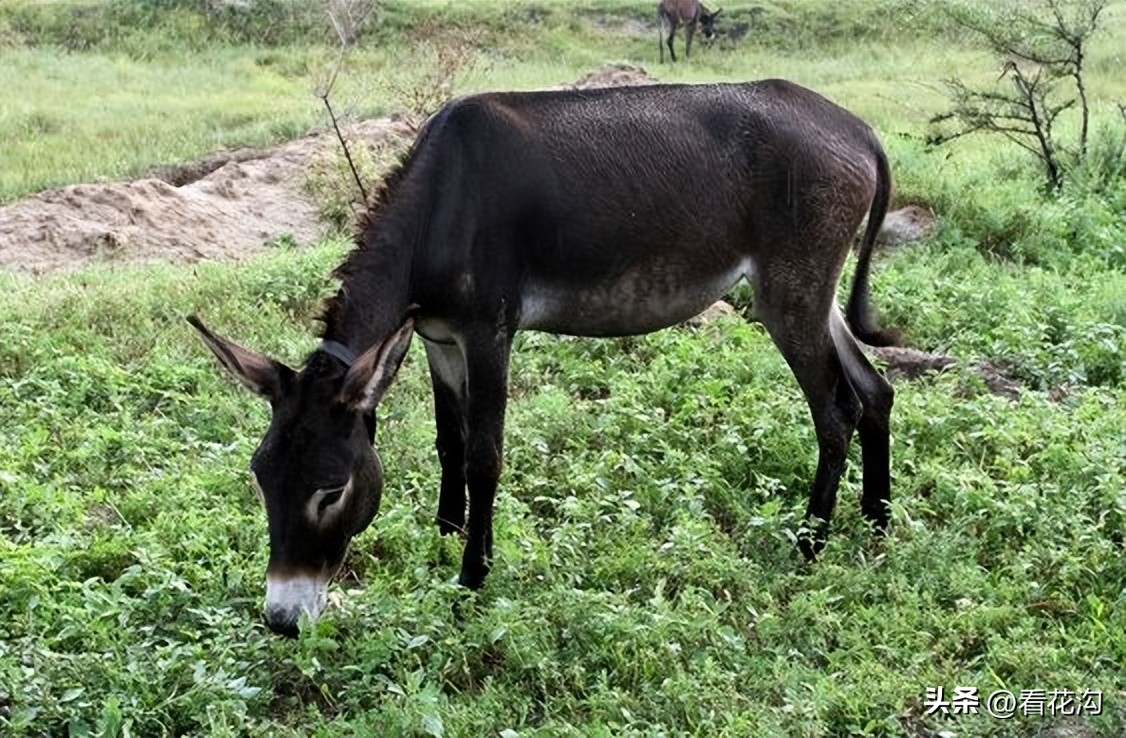 泌阳县1965年地图,河南泌阳县最新人口