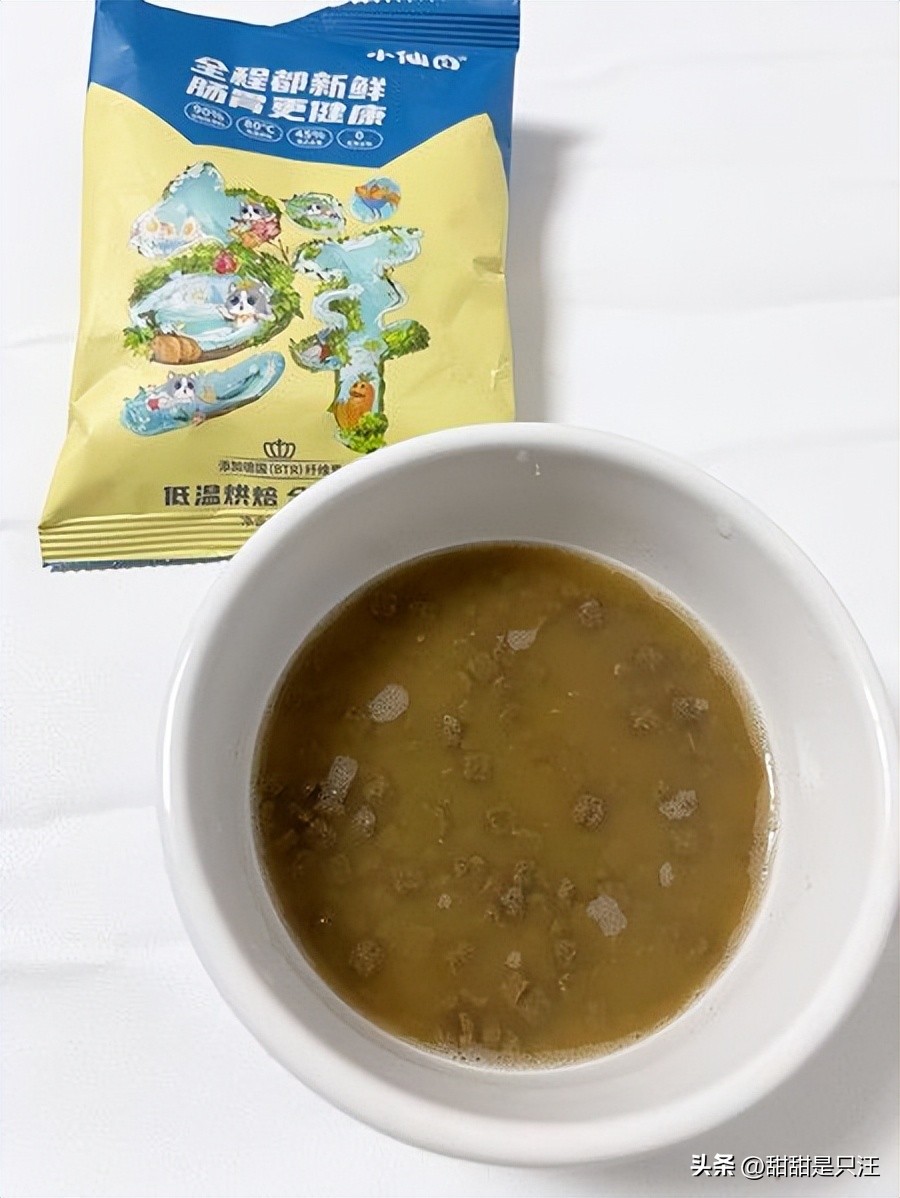 猫咪不喝水？教你10招骗水小技巧