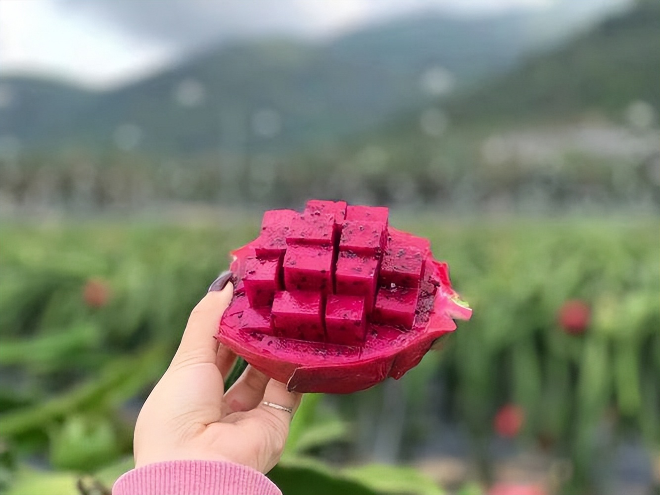 饮水多尿液无色透明正常吗,水喝多了尿像白开水一样正常吗