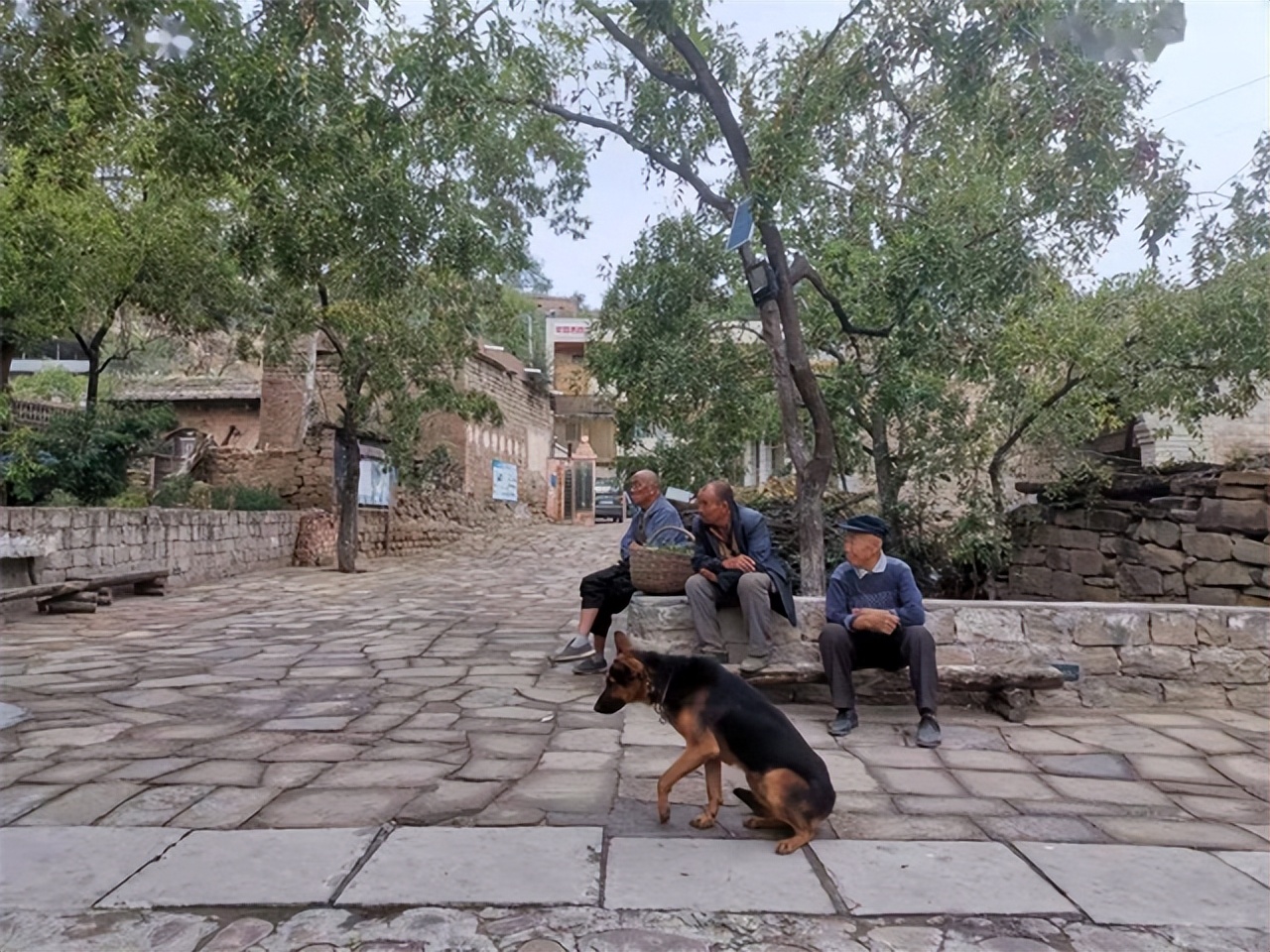 人老了丧失好奇心,人老了有求生欲望吗