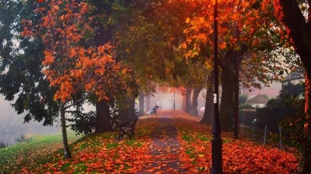 每日老三篇12.26，做一个坚持不懈的践行者。