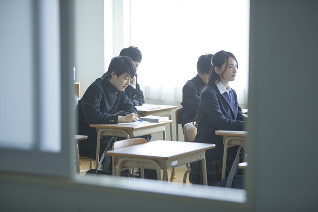 账号精准定位发展方向,中药材种植公司发展方向定位