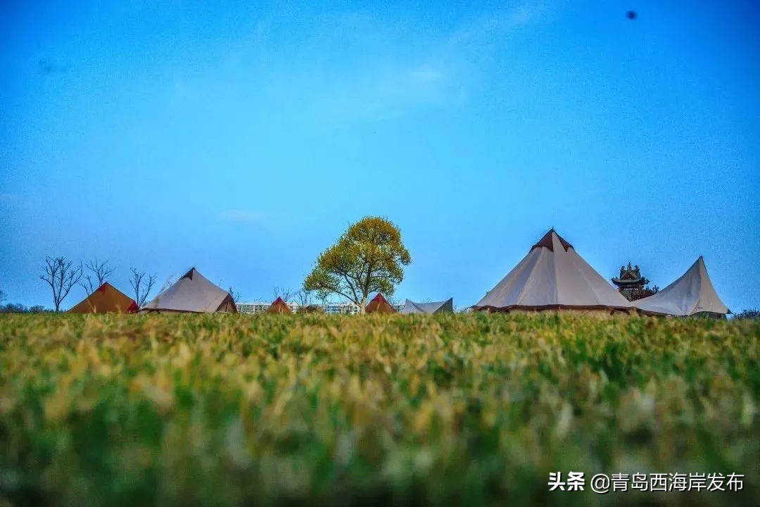 青岛冬天动物园野生动物世界,青岛野生森林动物园旅游攻略