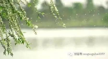 柳絮纷飞的古诗词,关于柳絮飞舞的古诗句