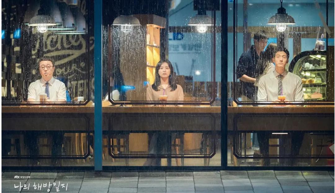 我的解放日志讲述的是什么,我的解放日志讲了什么故事