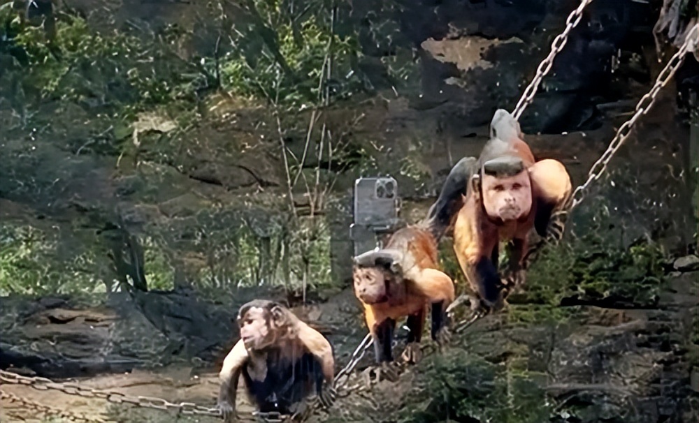 鎾炶劯鏂硅劯鐚村瓙鐨勫コ缃戠孩,鏂硅劯鐚村瓙妯′豢浜虹殑琛ㄦ儏