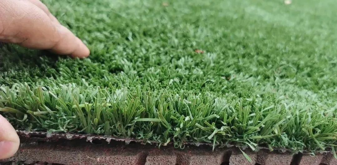 江门新会足球场,广东江门足球场