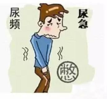 肾气虚夜尿多遗尿用什么药,夜尿多补肾健脾固精最好的药