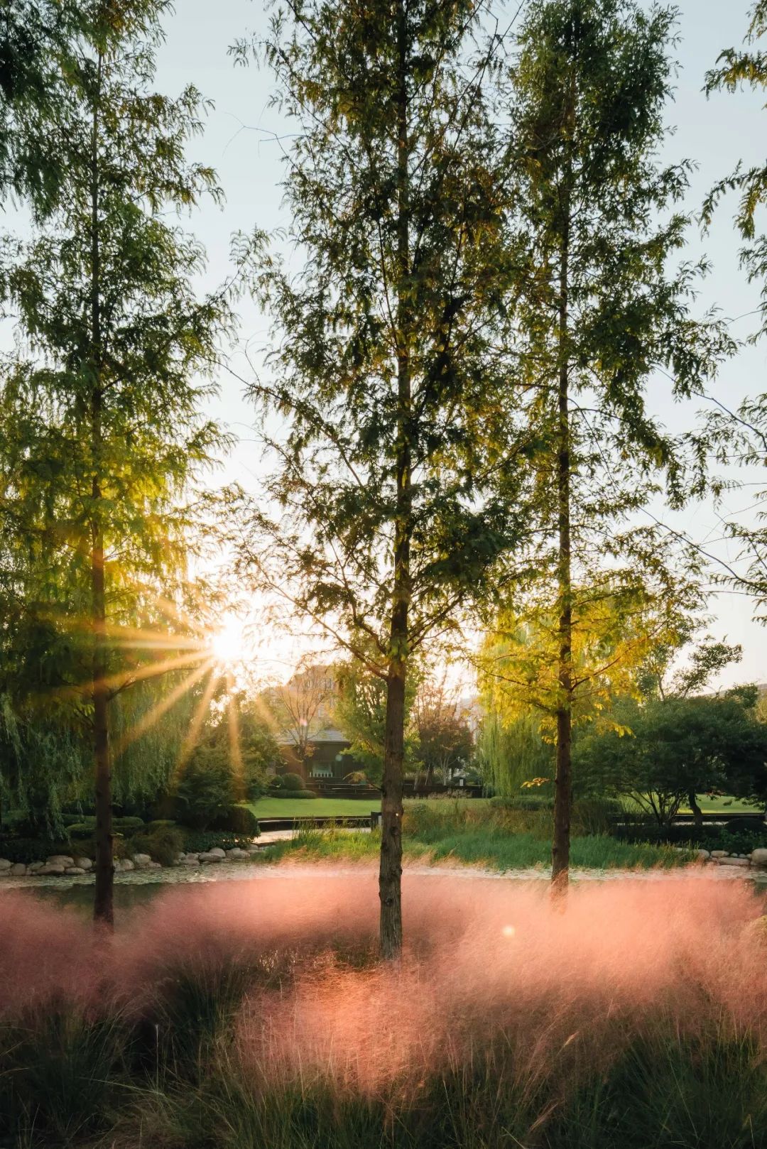 跟随邻里撰稿人，走进治愈力Max的社区空间