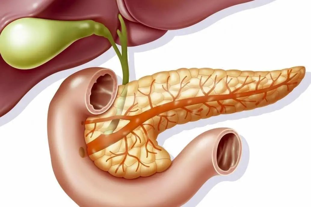 癌症之王胰腺癌症状,平时不生病的人一生病就是癌症