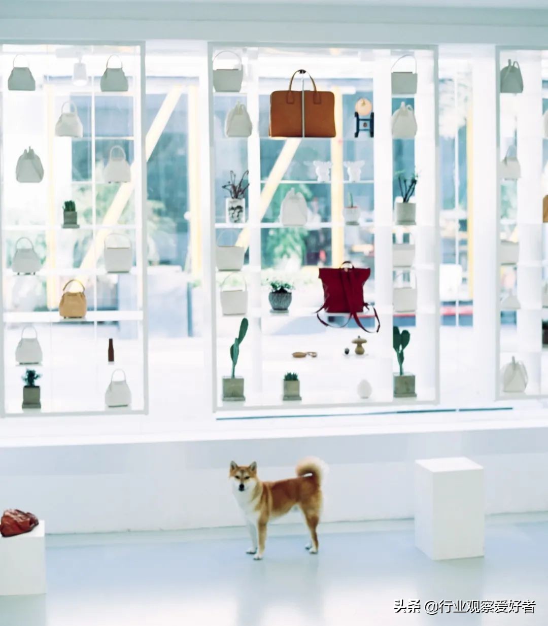 从线上到线下的品牌,品牌箱包趋势