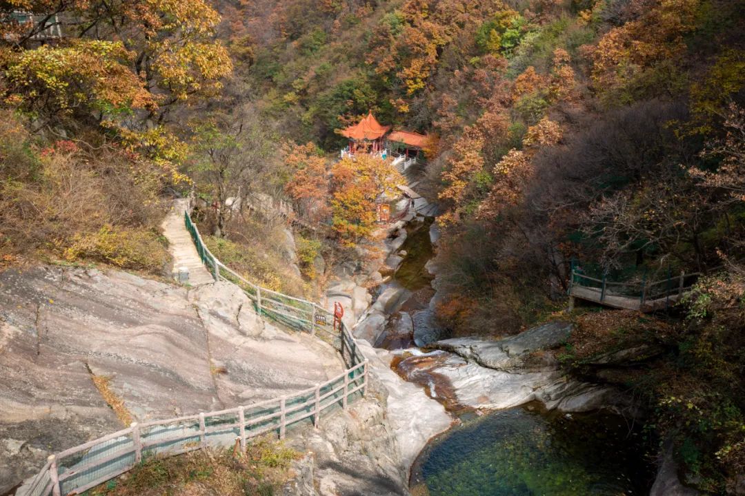 洛阳网红打卡地推荐,洛阳又一个网红打卡地