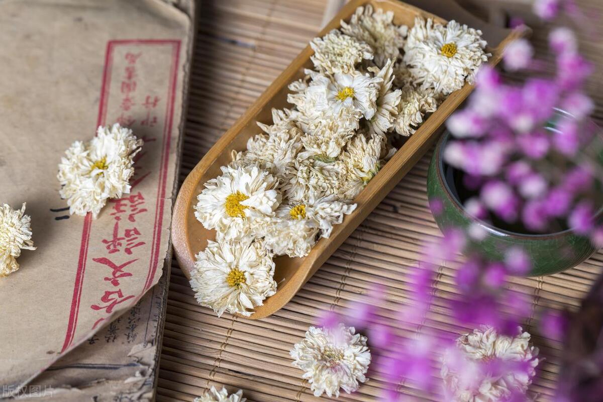 美文，温茶等花开，执念于绽放一片色彩