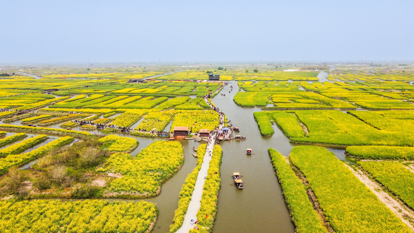 春日下江南杭州,泰州一日游攻略美食