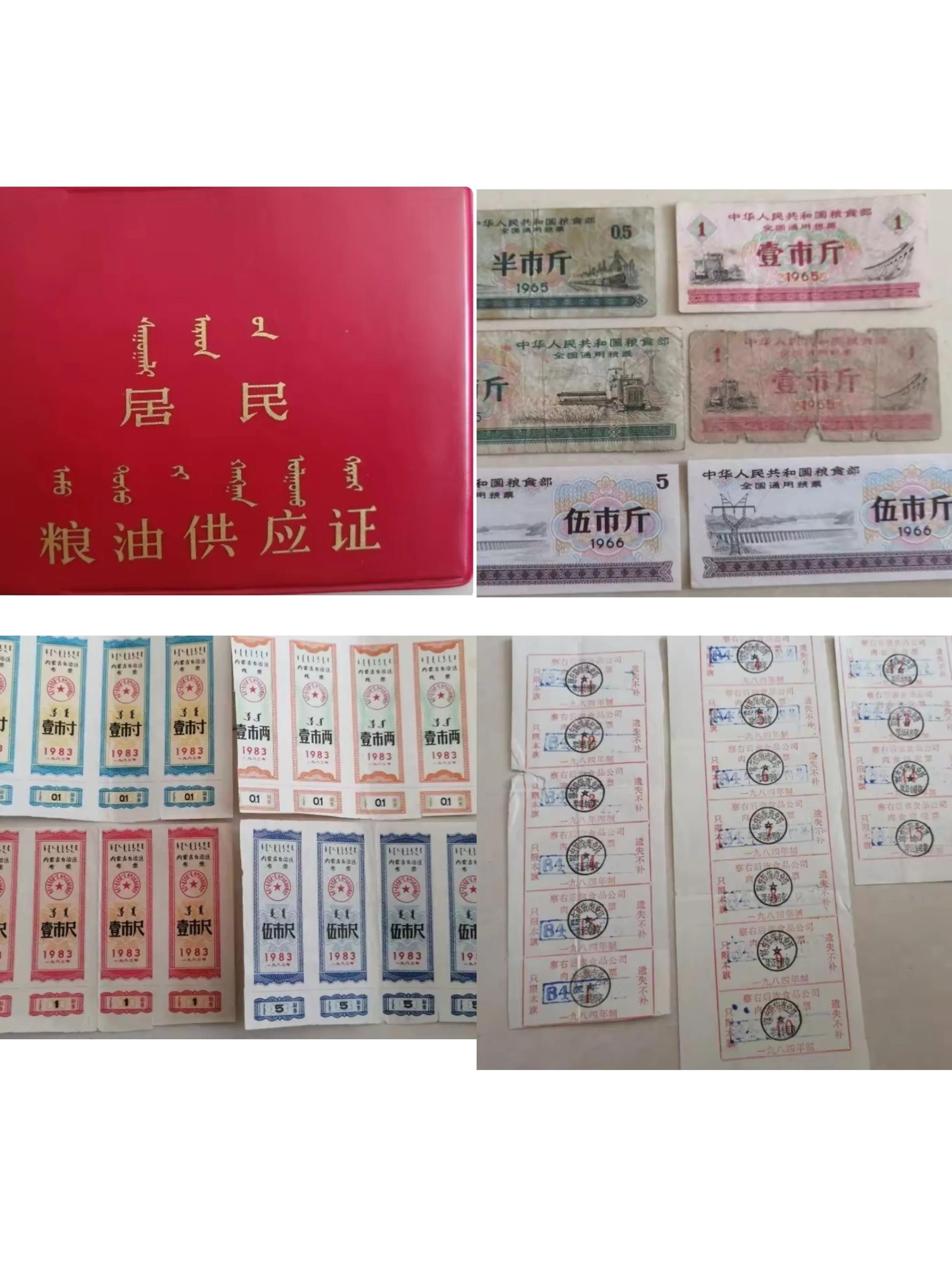 我亲身经历的社会事件作文,社会经历和感悟