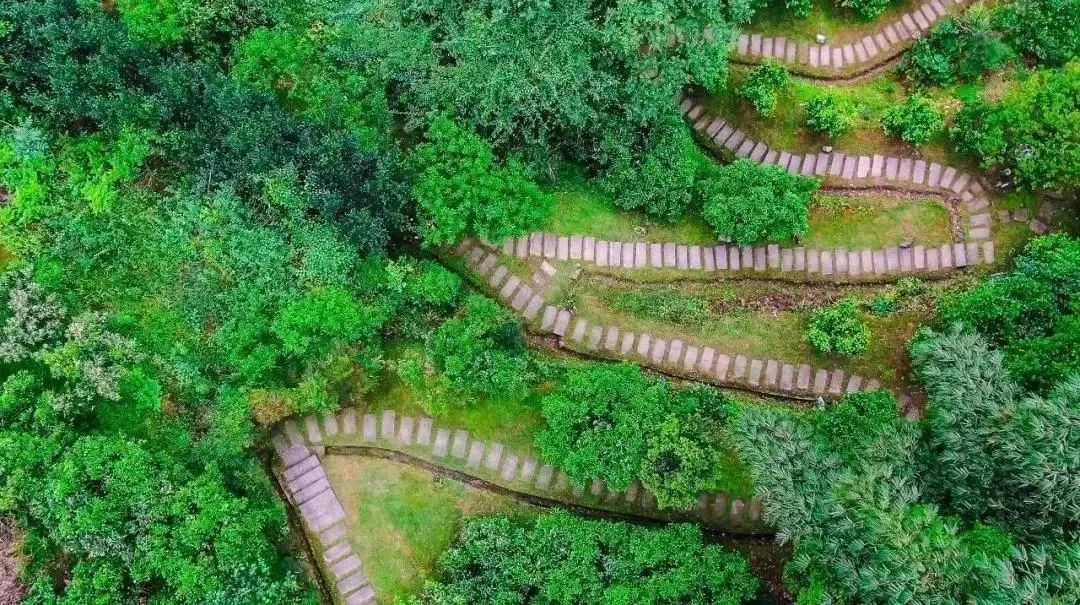 蒲江朝阳湖游记,亲近大自然享受悠闲时刻