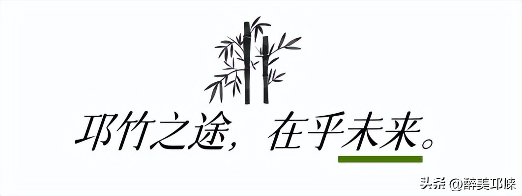 竹是风骨,平安竹养的如此茂盛