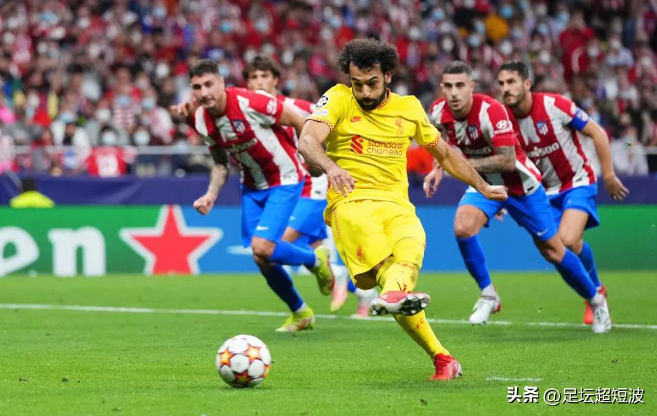 喜鹊死亡的视频,喜鹊之死完整视频