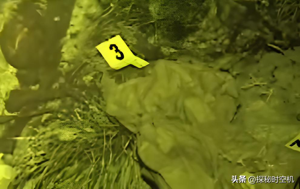 河里惊现神秘蛇皮袋竟然是女尸,河边惊现神秘蛇皮袋女尸