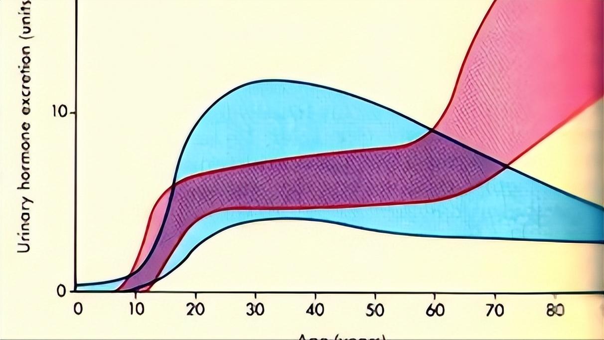 试纸、抽血均显示怀孕，为什么医生却说没怀孕？怀孕还能有假的？