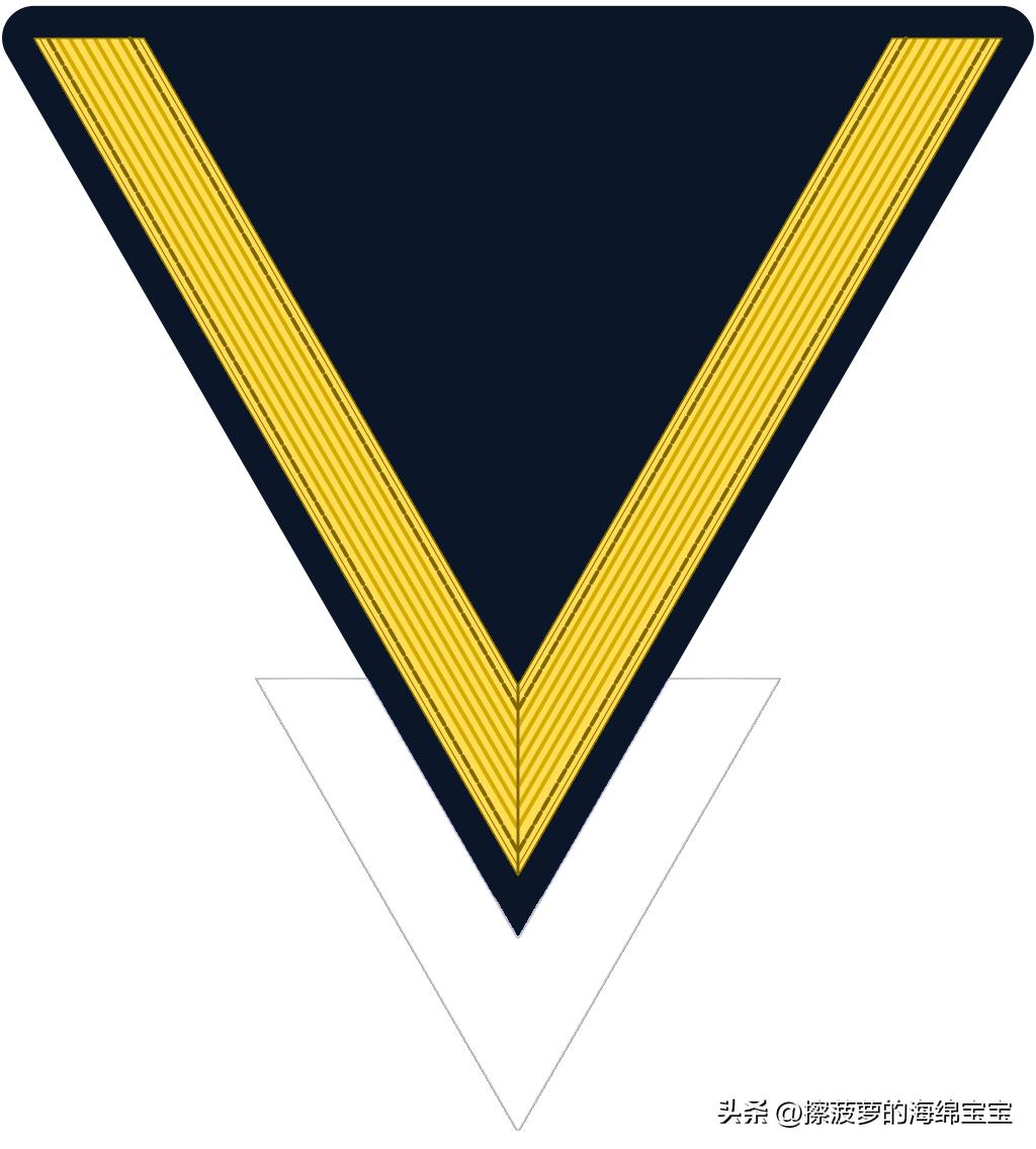 二战德国国防军医疗兵军衔标志