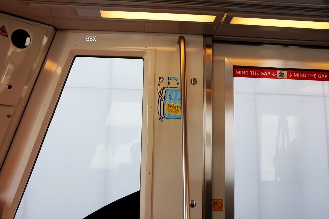 新加坡樟宜机场的仙人掌花园,新加坡最美机场在哪个航站楼