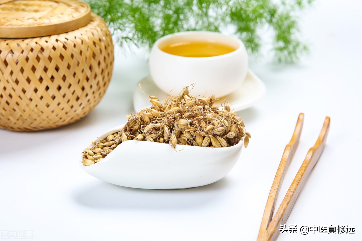 大剂量炒麦芽的妙用——乳头溢液案