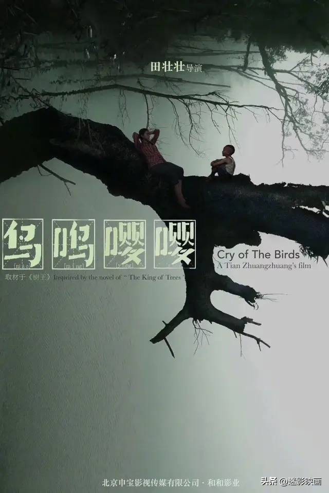 张艺谋和黄渤合作的电影,黄渤2023年上映电影