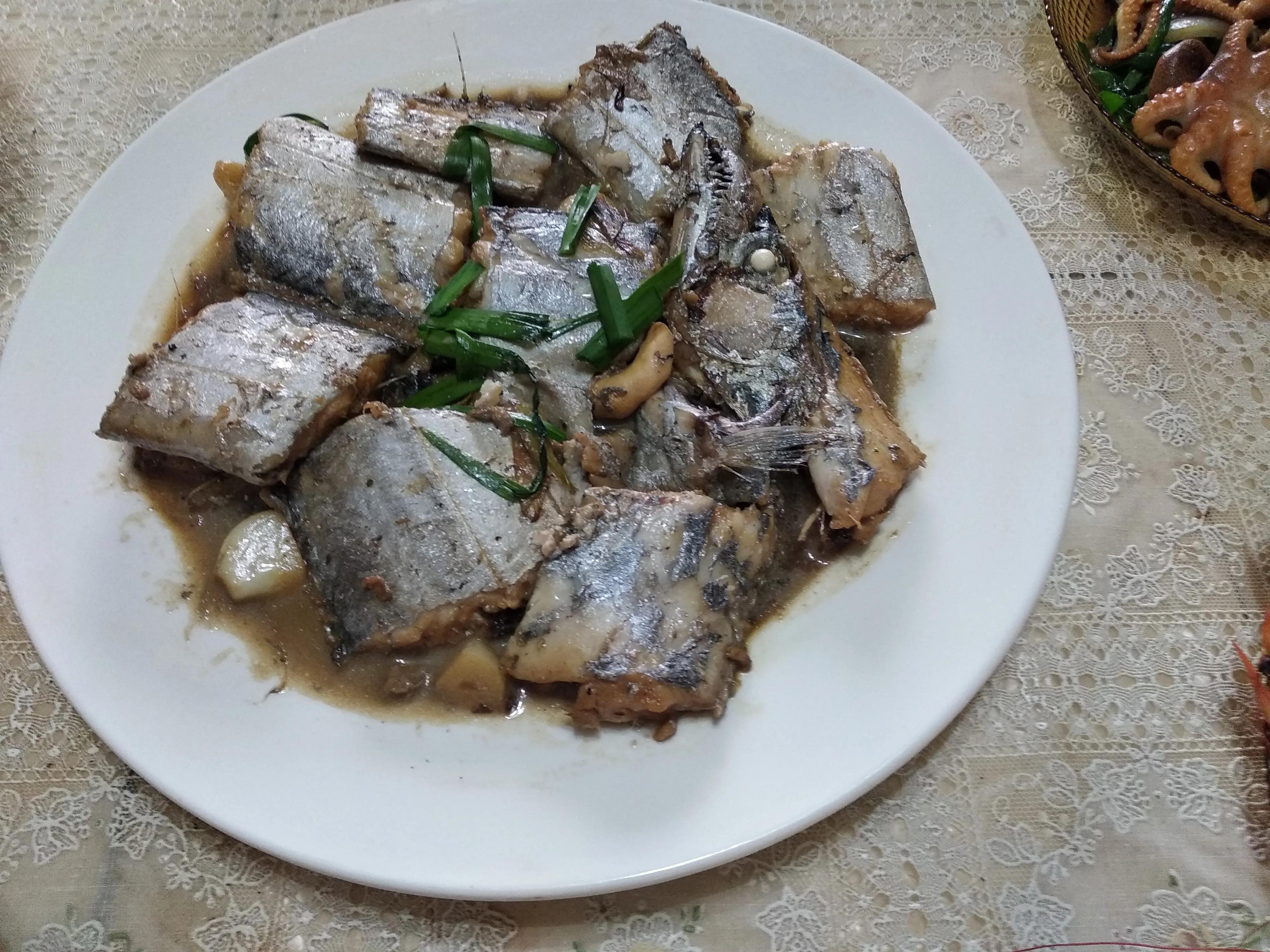 15种常见的海鱼,100种常见食用海鱼图谱