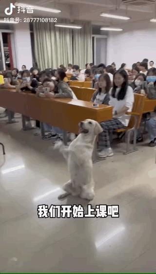 濂崇敓鍋氳揣鎷夋媺鍙告満,濂冲瀛愬仛鍙告満璺戣揣鎷夋媺