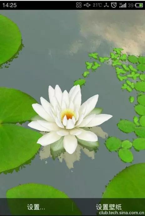 莲花图片大全唯美禅意心境,唯美莲花意境图片静心