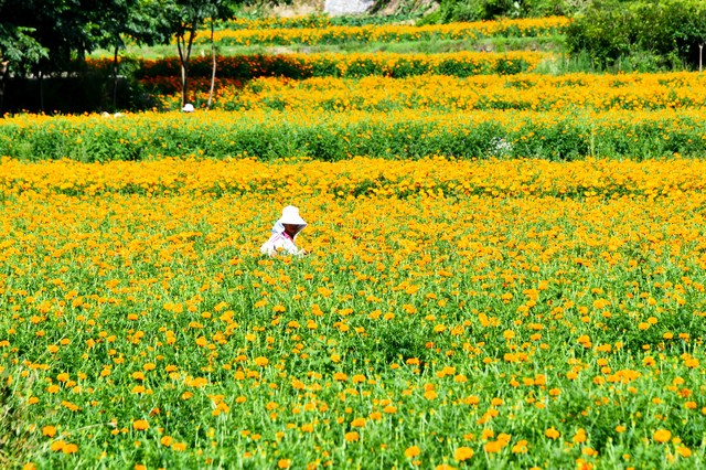 农村家庭小型加工厂致富项目,农村小型食品加工厂需要什么证件