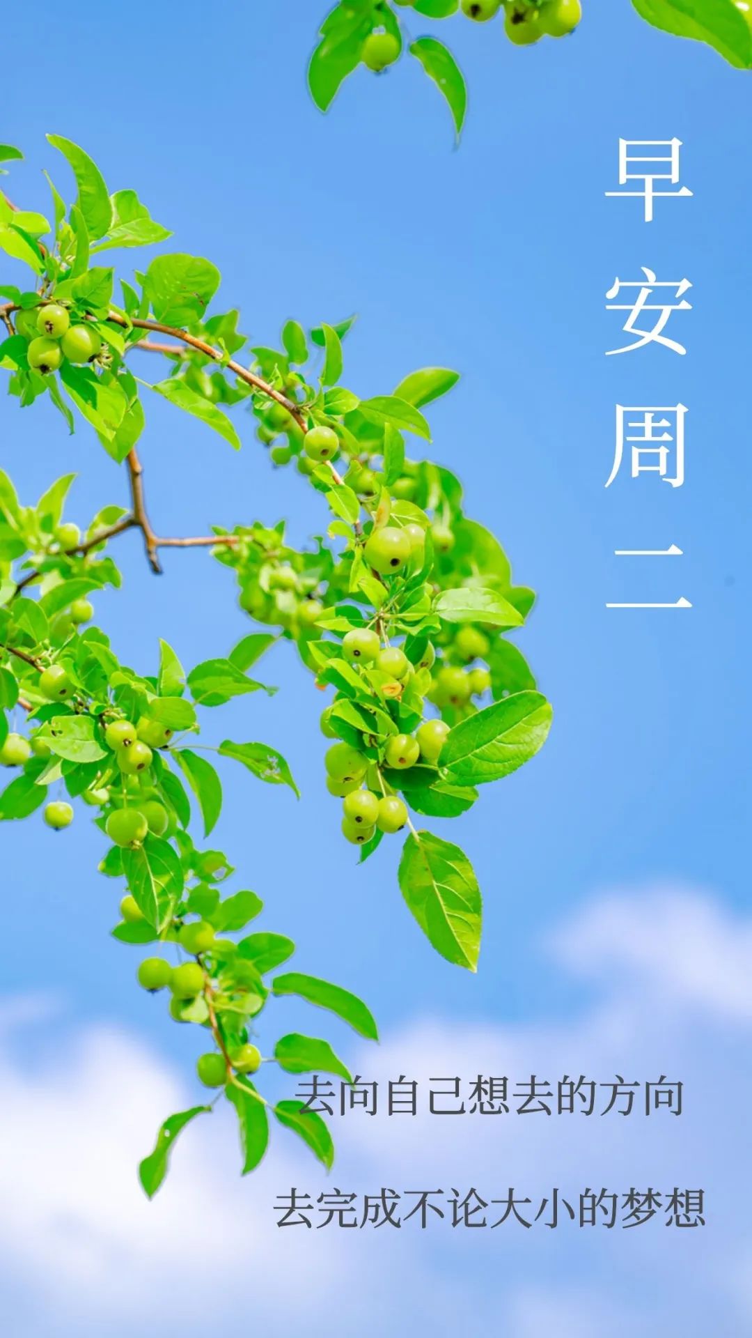 早安经典语录语句图片,早安经典语录及图片