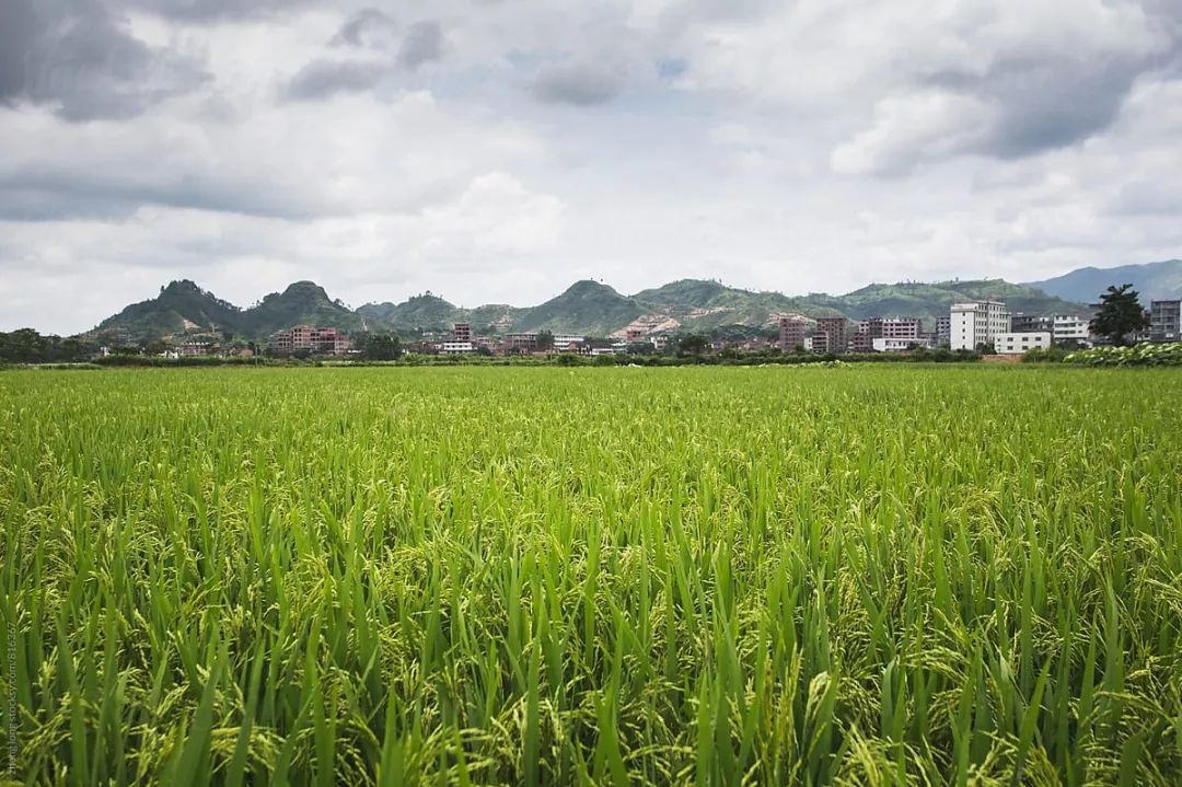 江西省位于中国什么地方,江西到底是一个怎样的地方