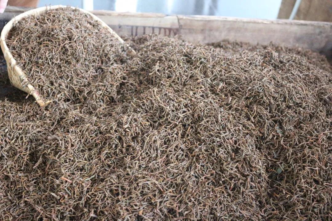 祁门红茶，清誉高香不二门